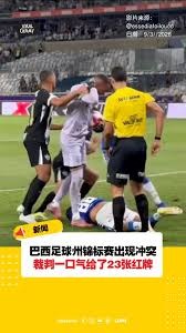 伊朗队顽强表现赢得尊重